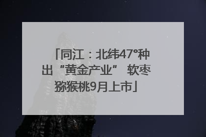 同江：北纬47°种出“黄金产业” 软枣猕猴桃9月上市