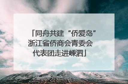 同舟共建“侨爱岛” 浙江省侨商会青委会代表团走进嵊泗