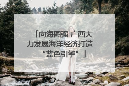 向海图强 广西大力发展海洋经济打造“蓝色引擎”