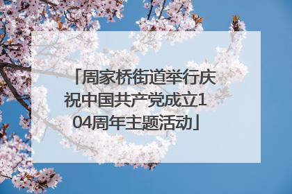 周家桥街道举行庆祝中国共产党成立104周年主题活动