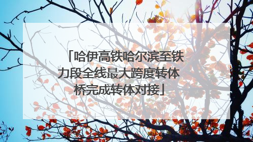 哈伊高铁哈尔滨至铁力段全线最大跨度转体桥完成转体对接