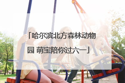 哈尔滨北方森林动物园 萌宝陪你过六一