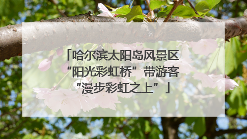 哈尔滨太阳岛风景区“阳光彩虹桥”带游客“漫步彩虹之上”