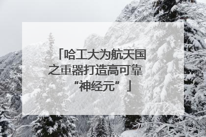 哈工大为航天国之重器打造高可靠“神经元”