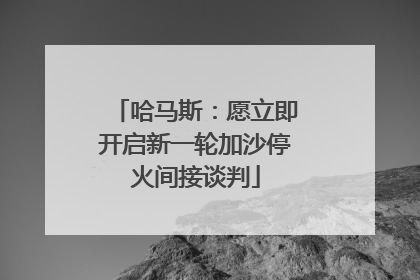 哈马斯：愿立即开启新一轮加沙停火间接谈判
