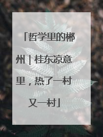 哲学里的郴州｜桂东凉意里，热了一村又一村