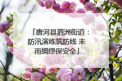 唐河县泗洲街道：防汛演练筑防线 未雨绸缪保安全