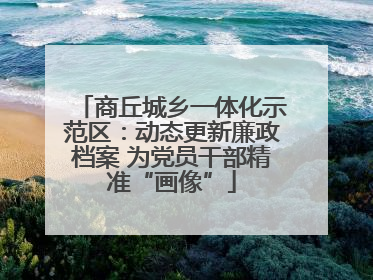 商丘城乡一体化示范区：动态更新廉政档案 为党员干部精准“画像”