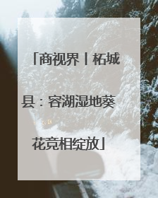 商视界丨柘城县：容湖湿地葵花竞相绽放