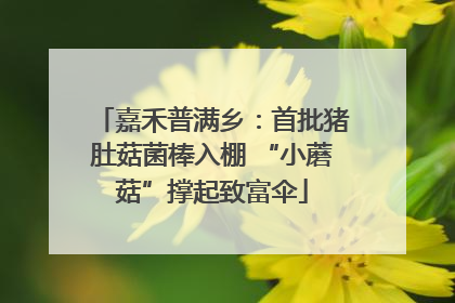 嘉禾普满乡：首批猪肚菇菌棒入棚 “小蘑菇”撑起致富伞