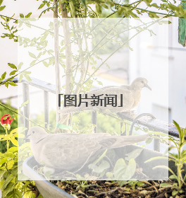 图片新闻