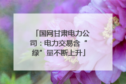 国网甘肃电力公司：电力交易含“绿”量不断上升