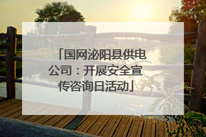 国网泌阳县供电公司：开展安全宣传咨询日活动