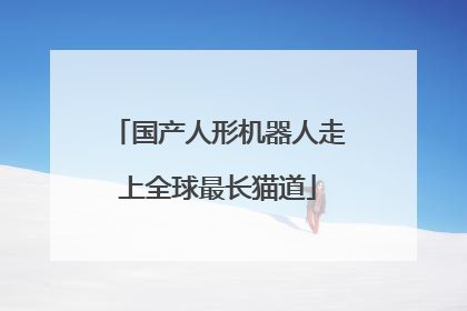 国产人形机器人走上全球最长猫道