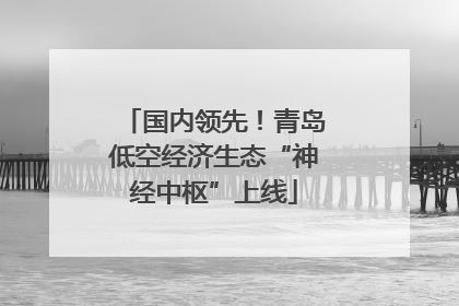 国内领先！青岛低空经济生态“神经中枢”上线
