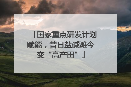 国家重点研发计划赋能，昔日盐碱滩今变“高产田”