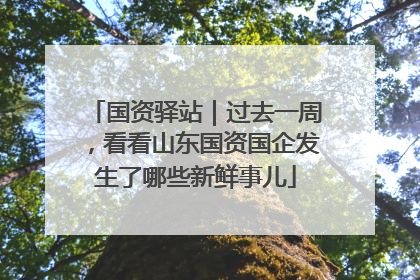 国资驿站｜过去一周，看看山东国资国企发生了哪些新鲜事儿