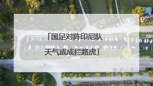 国足对阵印尼队 天气或成拦路虎