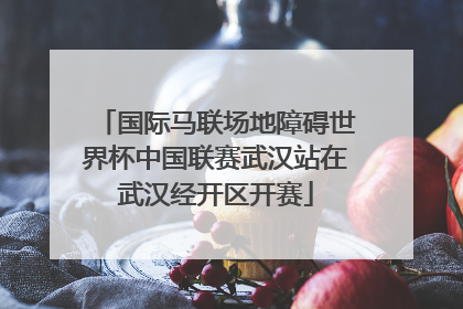 国际马联场地障碍世界杯中国联赛武汉站在武汉经开区开赛