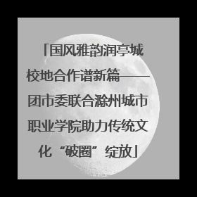 国风雅韵润亭城 校地合作谱新篇——团市委联合滁州城市职业学院助力传统文化“破圈”绽放