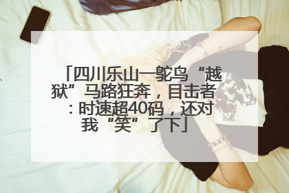 四川乐山一鸵鸟“越狱”马路狂奔，目击者：时速超40码，还对我“笑”了下