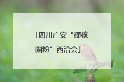 四川广安“硬核圈粉”西洽会