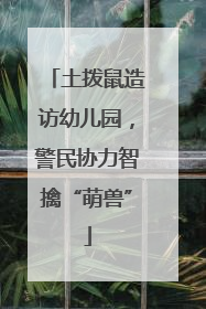 土拨鼠造访幼儿园，警民协力智擒“萌兽”
