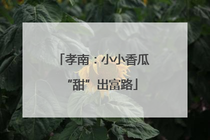 孝南：小小香瓜 “甜”出富路