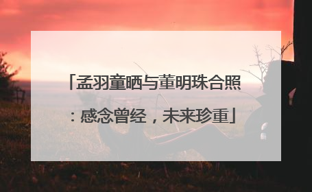 孟羽童晒与董明珠合照：感念曾经，未来珍重