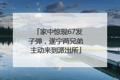 家中惊现67发子弹，遂宁两兄弟主动来到派出所