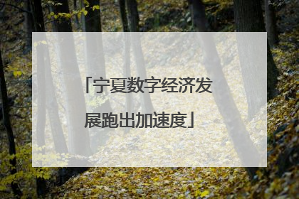 宁夏数字经济发展跑出加速度