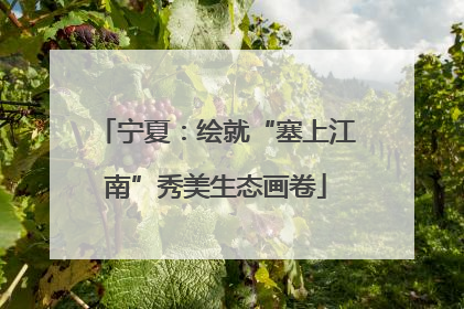 宁夏：绘就“塞上江南”秀美生态画卷