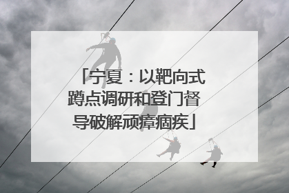 宁夏：以靶向式蹲点调研和登门督导破解顽瘴痼疾