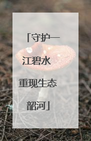 守护一江碧水 重现生态韶河