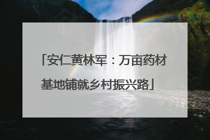 安仁黄林军：万亩药材基地铺就乡村振兴路