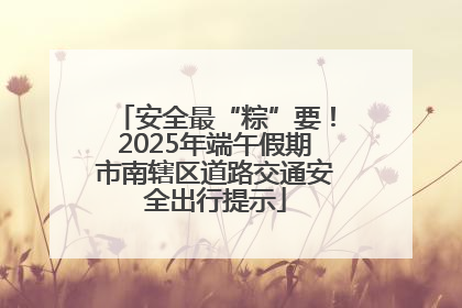 安全最“粽”要！2025年端午假期市南辖区道路交通安全出行提示