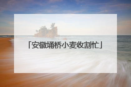 安徽埇桥小麦收割忙