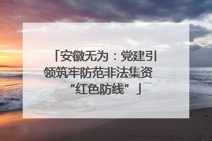 安徽无为：党建引领筑牢防范非法集资“红色防线”