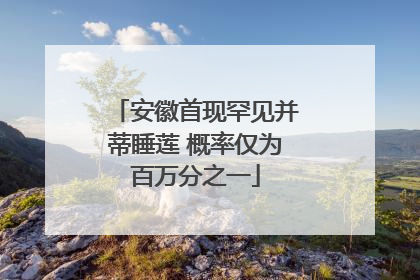 安徽首现罕见并蒂睡莲 概率仅为百万分之一