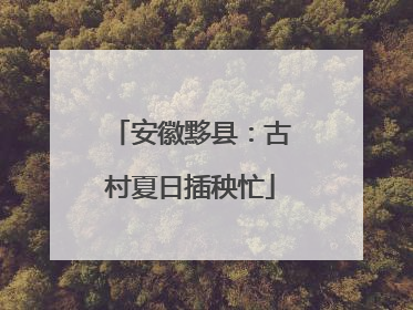 安徽黟县：古村夏日插秧忙