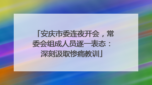 安庆市委连夜开会，常委会组成人员逐一表态：深刻汲取惨痛教训