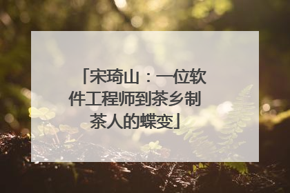 宋琦山：一位软件工程师到茶乡制茶人的蝶变