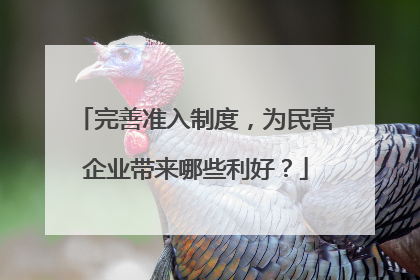 完善准入制度，为民营企业带来哪些利好？