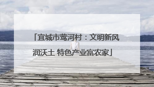 宜城市莺河村：文明新风润沃土 特色产业富农家