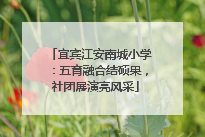 宜宾江安南城小学：五育融合结硕果，社团展演亮风采
