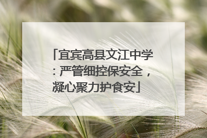 宜宾高县文江中学：严管细控保安全，凝心聚力护食安