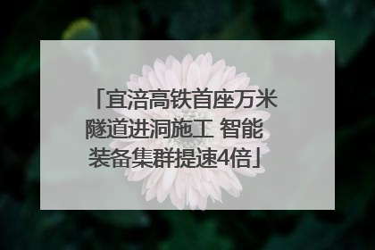 宜涪高铁首座万米隧道进洞施工 智能装备集群提速4倍