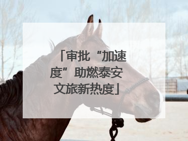 审批“加速度”助燃泰安文旅新热度