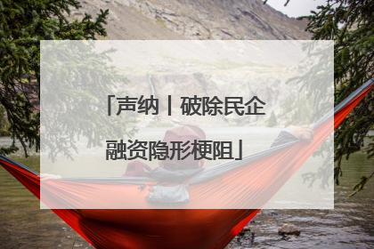 声纳丨破除民企融资隐形梗阻