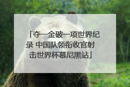 夺一金破一项世界纪录 中国队领衔收官射击世界杯慕尼黑站